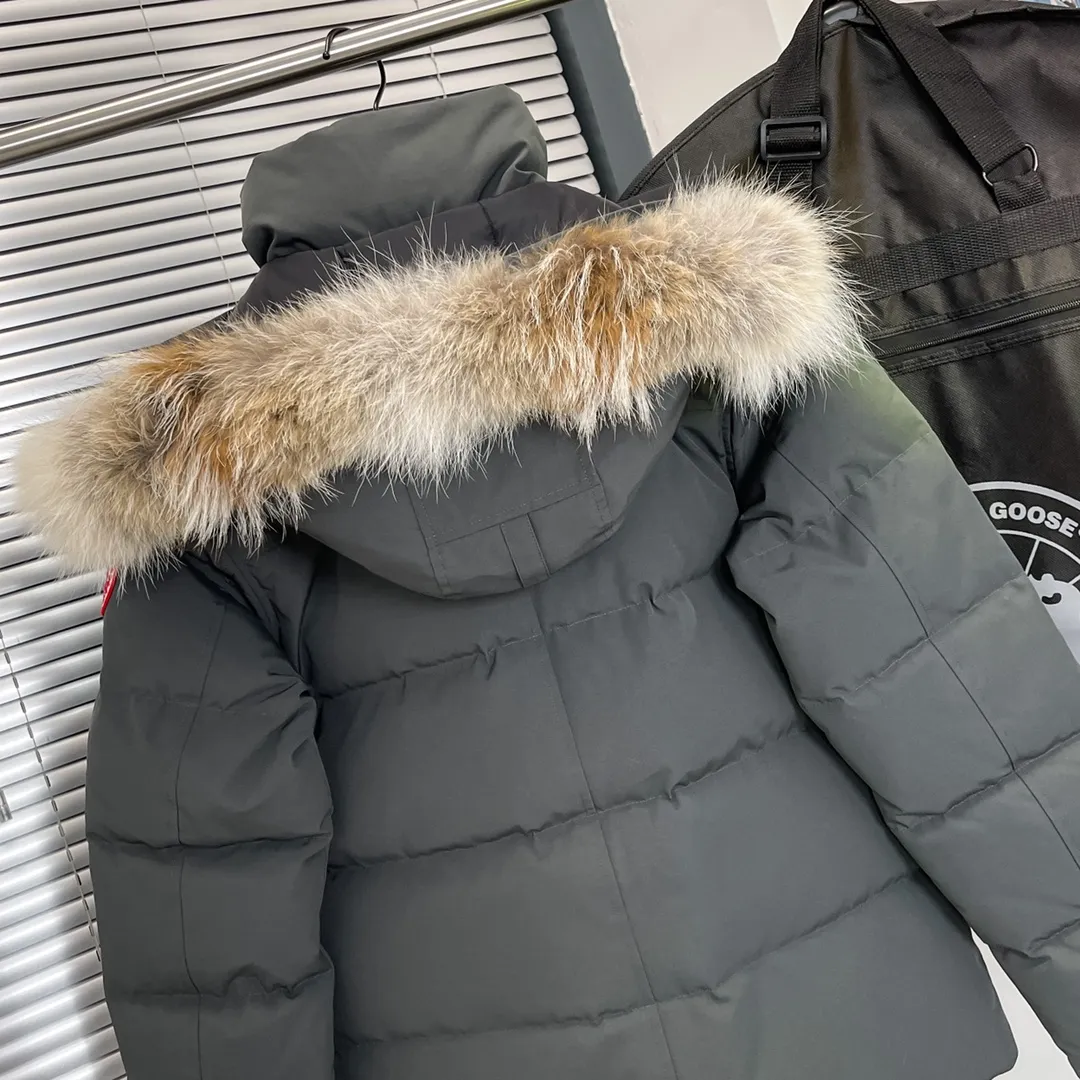 P720 29 models - graphite gray